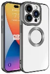 Apple iPhone 15 Pro Max (6.7) Kılıf Kamera Korumalı Silikon Logo Açık Omega Kapak - Füme