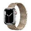 Apple Watch 7 41mm Kordon Mıknatıslı Metal - Gold