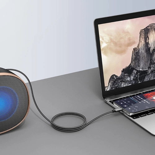 Recci RH02 Lightning to 3.5mm AUX Audio Kablo - Siyah