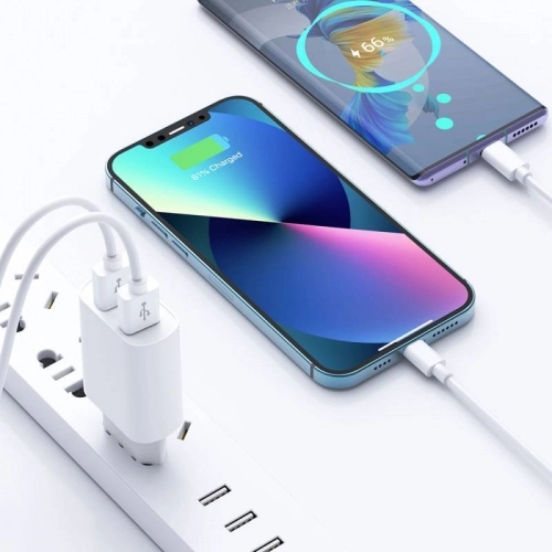 Wiwu Wi-U003 Quick 2.1A Dual USB Çıkışlı USB-A Hızlı Şarj Başlığı - Beyaz