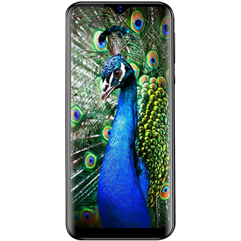 Reeder P13 Blue Kılıf ve Aksesuarları