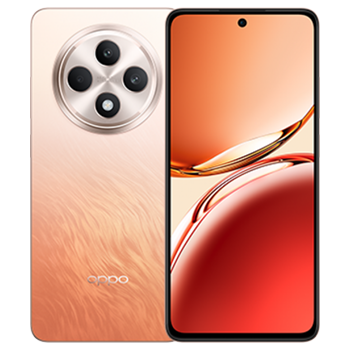 Oppo Reno 11 FS